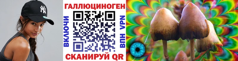 Галлюциногенные грибы Psilocybe  наркота  Мытищи 