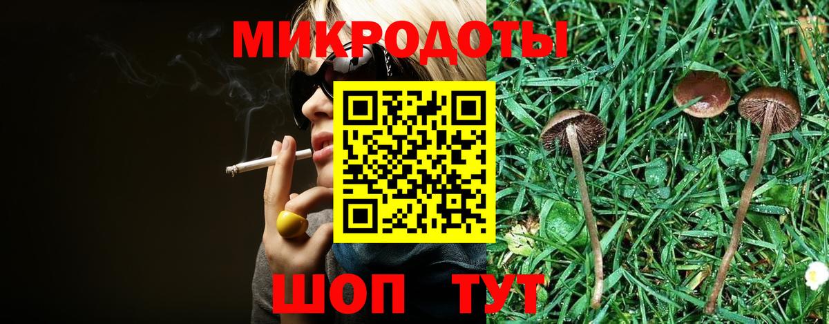 Псилоцибиновые грибы Psilocybe Мытищи
