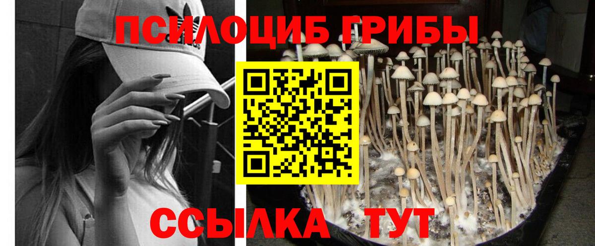 Псилоцибиновые грибы ЛСД  Вход с VPN  Мытищи 